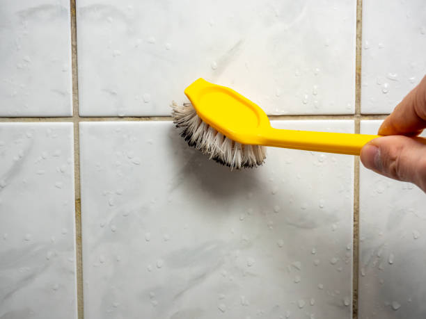 Best Emergency Mold Removal  in Town Line, NY