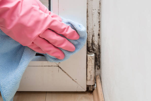 Water Damage Restoration in Town Line, NY